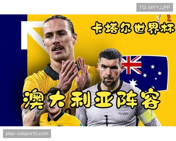 卡塔尔无缘世界杯32强:B组垫底出局回顾